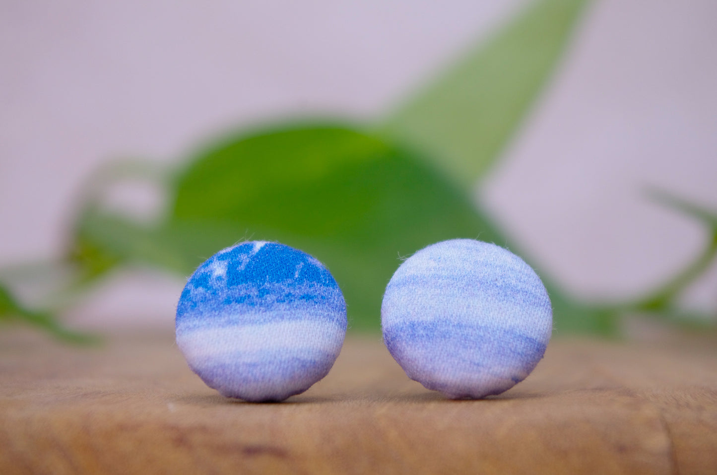 Stud Earrings - Sea